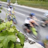 Huit accidents de vélo se sont produits sur les routes valaisanne ce week-end. La police appelle à la prudence (photo prétexte). KEYSTONE/JEAN-CHRISTOPHE BOTT